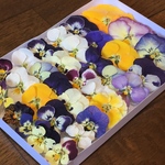 お花屋さんが作った本日のビオラやパンジーのドライフラワー33冠  e-③