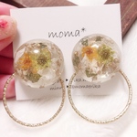 ナチュラルドライフラワー❤︎大ぶりレジン イヤリング