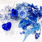 プリザーブドフラワー薔薇 花材  429