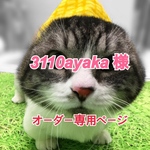 3110ayaka 様専用