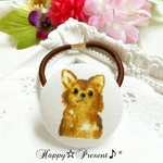 kiyokota様専用ページ🐶💓