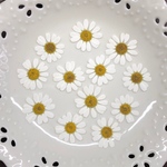 マトリカリア(押し花)