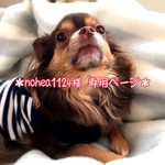 ＊nohea1124様 専用ページ＊