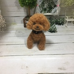 羊毛フェルト お散歩いく〜〜ぷ〜ちゃん