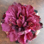 ＳＡＬＥ！！！深紅芍薬
