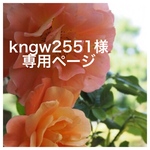 kngw2551 様 専用ページ