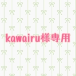kawairu様　専用カート　