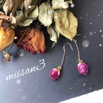  miisan3 みに mode rose