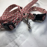 リード＆カラー：赤チェック