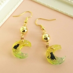 猫の日！月の黒猫・ピアス/イヤリング/ノンホールピアス（レジン）