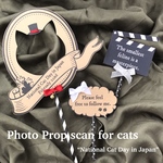 猫用フォトプロップス3本セット "猫の日"