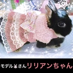 【ご予約分】lillian様ご予約ピンクドレス