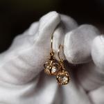 王冠フックピアス❀
