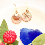 再78販‼︎海のピアス ヒトデと貝殻