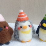 お帽子ペンギンちゃん♪♪♪