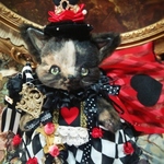 【k様専用】 赤の女王☆サビ猫ちゃん