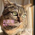 Chapy7 様❤️専用ページ