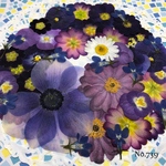 ♡new♡ 送料無料！¥1290 ♡たっぷり押し花セット♡