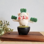 【再販2】盆栽になってみたブサネコさん