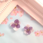 本物の紫陽花ピアスorイヤリング  パープル