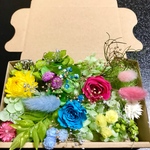 ボタニカル風ハーバリウム花材セット