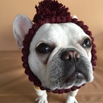 ポンポンニット帽   アズキ色