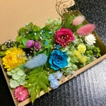 ボタニカル ハーバリウム 花材セット