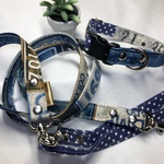 リード＆首輪：プレートブルー＆ドット