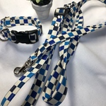 リード＆カラー：ブルースクエア