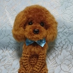 ご注文品   あみぐるみ☆トイプードル(レッド)