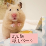 ayu様オーダー品