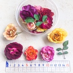 【再再販】バラ　ローズ　薔薇　ドライフラワーアソート