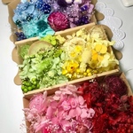  6色セット 3BOX花材セットハーバリウム花材