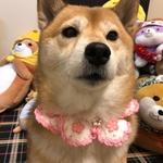 桜の花びらバンダナ