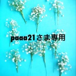 paaa21さま専用3/16