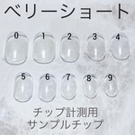 計測用 サンプルチップ