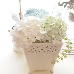爽やか紫陽花のparasol付きアレンジ
