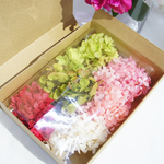 紫陽花花材セットF【売り切り】