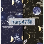 harp47様 専用です☆受注製作☆ランチョンマットと給食袋のセット×2