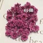 かすみ草ドライフラワー grace purple