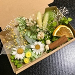 ミモザ入naturalガーデン ハーバリウム花材セット