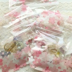 押し花アクセサリーのハッピーバッグ福袋