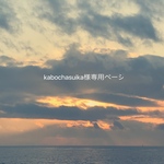 kabochasuika様専用ページ
