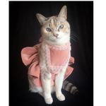 ♡単品決済商品♡猫乃木坂20♡