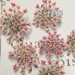 レースフラワーのドライフラワー cherry  blossom gradation