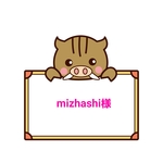 【mizhashi様専用】お名前シール