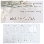 お試しチップのご注文
