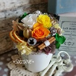 *arengmennt*   フルーティーオレンジ  人気再販
