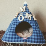 送込！チェック3△ハウス選べるガーランド