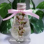春待ち 啓翁桜 ドライフラワーのハーバーリウム